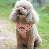 Rosie Strawberry AllSet™ Harness Matching Bundle (D Ring)