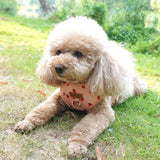 Rosie Strawberry AllSet™ Harness – Adjustable Bliss (D Ring)