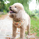 Yellow Floral Signature Bloomtie™ - Mega Bundle (D Ring)