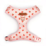 Peach Blush Signature Bloomtie™ - Mega Bundle (D Ring)