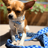Checker Blue Joyline™ Leash – 100 % Cotton Shell