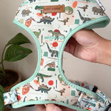Mint Snappy Dino AllSet™ Harness – Adjustable Bliss