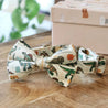 Dinosaur Bowtie collar - cute and safe dog collar for small to large boy dog