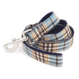 best dog leash