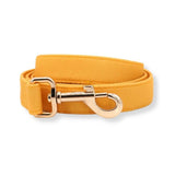 leashes for dogs