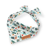 Girl Dog Bandanas
