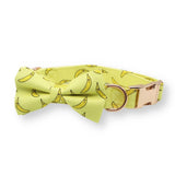 bowtie dog collar