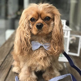 DOG COLLAR BOW TIE