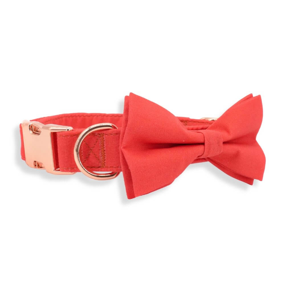 bow tie collar for dogs