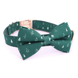 Trees Signature Band™ + Slide-On Dappertie™ + Joyline™