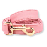 best dog leash