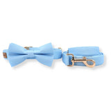 dog bowtie collar and leash