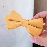 bowtie collar dog