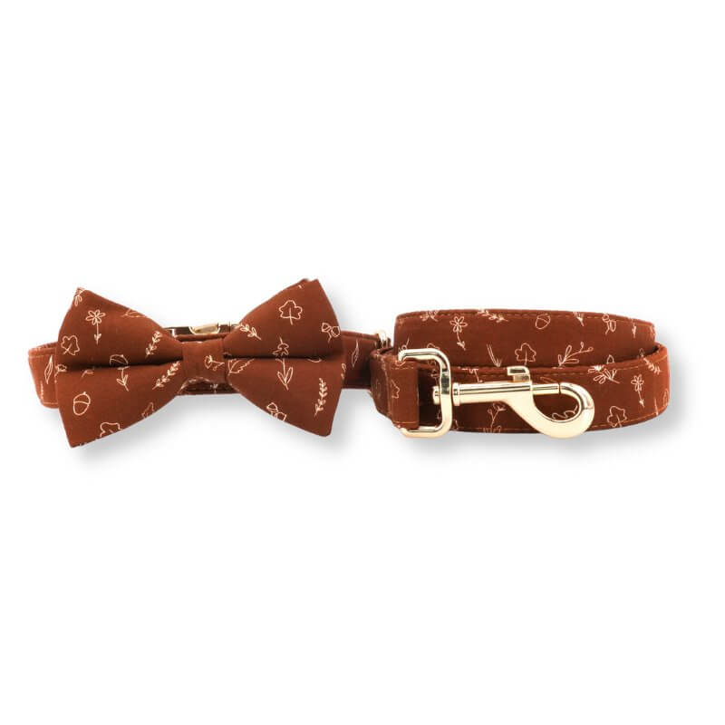 bowtie collar and leash