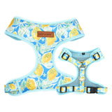 Sunny Lemons AllSet™ Harness Matching Bundle