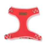 best dog harness for walking