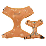 Ambar Suns AllSet™ Harness – Adjustable Bliss