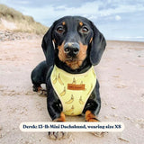 best dog harness