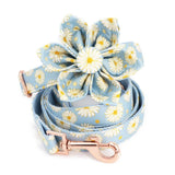 dog flower collar and leash
