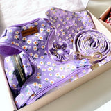 Purple Daisy Dappertie™ - Mega Bundle Match