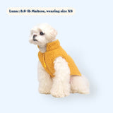 dog winter wear