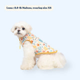 dog winter coat