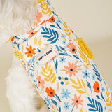dog fleece