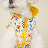 winter clothes dogs