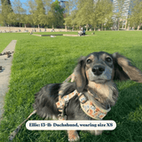 Yellow Floral AllSet™ Harness – Adjustable Bliss