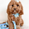dog collar with flower bow