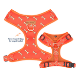 Coral Fetch AllSet™ Harness – Adjustable Bliss (D Ring)