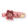dog collar with flower