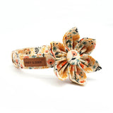 girl dog collars