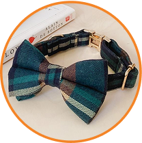 Bowtie Collar