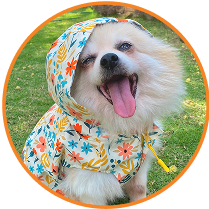 Zoomies Rain Vest