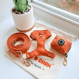 Ambar Suns AllSet™ Harness Matching Bundle (D Ring)