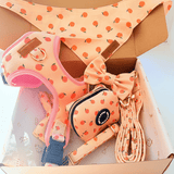 Peach Blush Dappertie™ - Mega Bundle Match (D Ring)