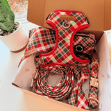 Garent Plaid Bow Dappertie™ - Mega Bundle Match (D Ring)