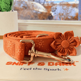 Ambar Suns Signature Band™ + Slide-On Bloomtie™ + Joyline™