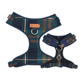 Gentleman AllSet™ Harness Matching Bundle (D Ring)