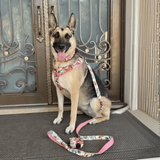Morning Floral Joyline™ Leash – 100 % Cotton Shell