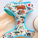 Mint Snappy Dino AllSet™ Harness Matching Bundle (D Ring)