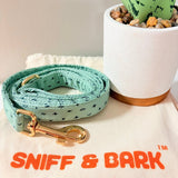 Teal Stars AllSet™ Harness Matching Bundle (D Ring)