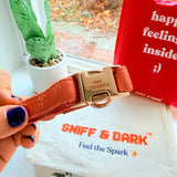 Ambar Suns Signature Band™ - Crafted Collar