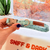 Teal Stars Dappertie™ - Mega Bundle Match (D Ring)