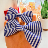 Blue Stripes Signature Band™ + Slide-On Dappertie™