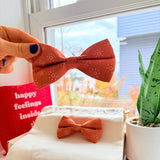 Ambar Suns Dappertie™ – Sleek Slide-On Bowtie