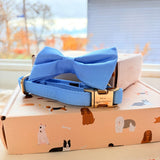 Baby Blue Dappertie™ - Mega Bundle Match (D Ring)