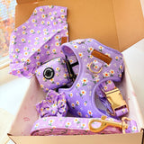 Purple Daisy Signature Bloomtie™ - Mega Bundle (D Ring)