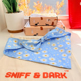 Marigold Bloom Signature Bloomtie™ - Mega Bundle (D Ring)